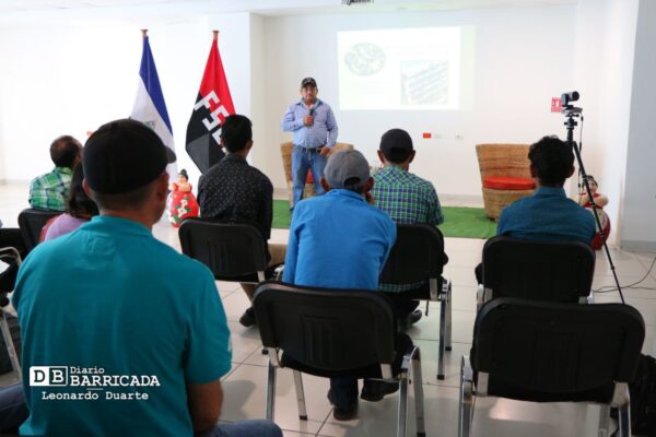 Productores nicaragüenses sostienen encuentro para modernizar prácticas en la apicultura