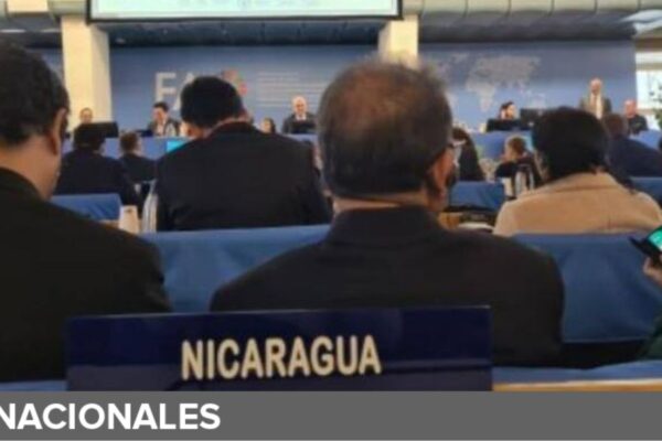 Nicaragua asiste al 171 Período de Sesiones de la FAO