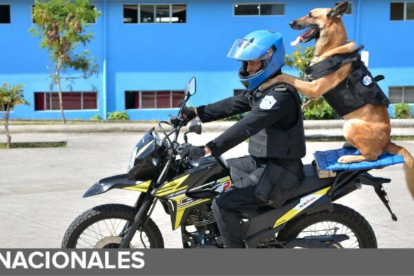 Policía nicaragüense cuenta con nuevos oficiales especializados en técnica canina
