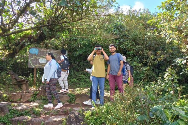 Jóvenes protagonizan senderismo ecológico en Granada