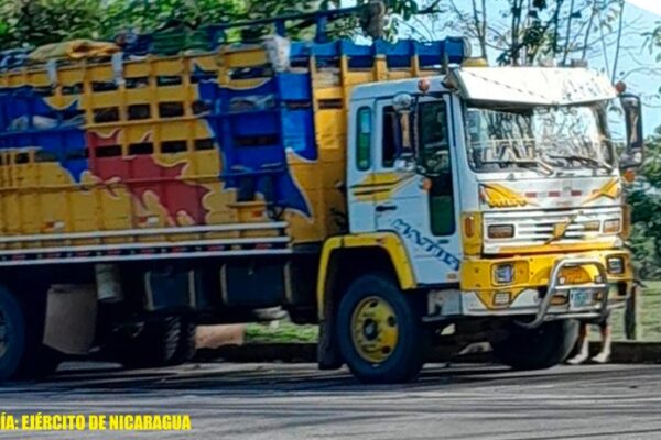 Ejército ocupa equinos en Mulukukú