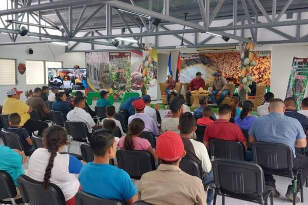 Nicaragua inicia segunda edición de Certamen Nacional de Cacao de la Excelencia