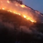 Bomberos controlan incendio en zona forestal de Río de Janeiro