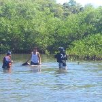 Naval Pacífico trabaja en búsqueda de cuerpo sin vida en Estero Padre Ramos