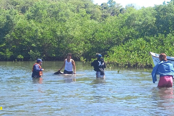Naval Pacífico trabaja en búsqueda de cuerpo sin vida en Estero Padre Ramos