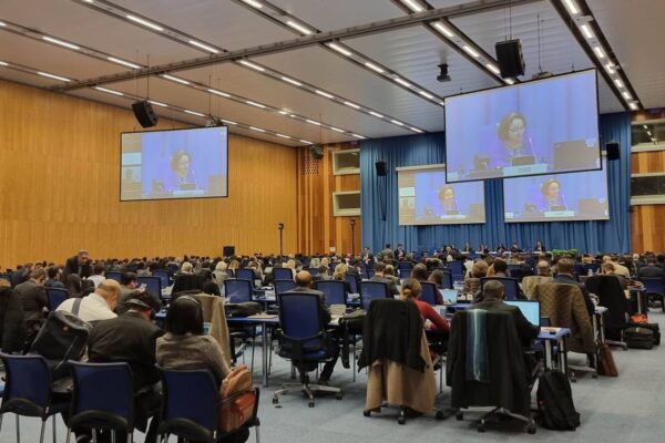 Nicaragua asiste a Sesiones del Comité Ad Hoc