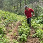 Todo lo que debes saber sobre los certámenes departamentales de producción sana