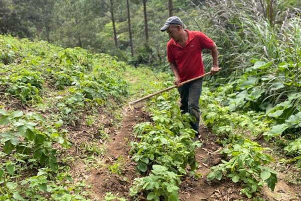 Todo lo que debes saber sobre los certámenes departamentales de producción sana