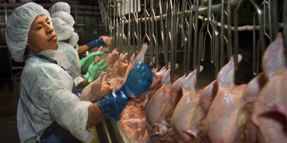 Nicaragua: Producción de carne de pollo crece en 7.5 por ciento