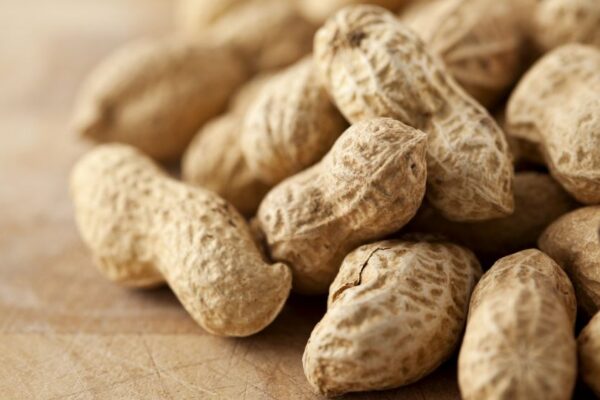 Cultivo de Maní genera 107.1 millones de dólares en el 2022