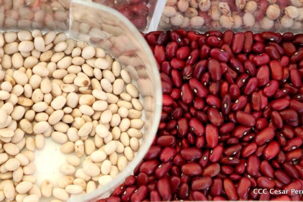 Ramón Pedregal: Soberanía: alimentarse y compartir de Nicaragua