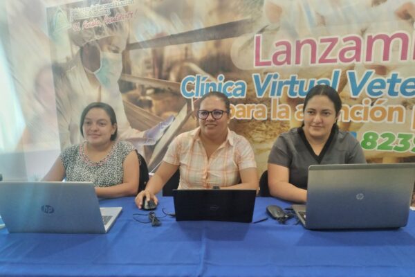 Nicaragua ya posee clínica virtual para la atención porcina