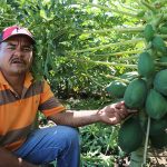 Nicaragua contará con Centros y Fincas de Desarrollo de Tecnologías Agropecuarias