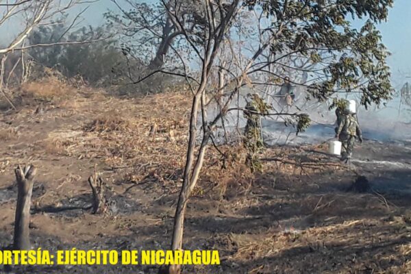 Ejército en sofocación de incendio forestal en la Península de Chiltepe