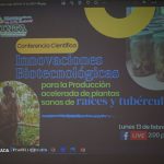 Innovaciones biotecnológicas fortalecen producción de raíces y tubérculos