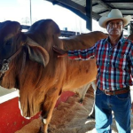 Importantes ferias agropecuarias se realizarán en Nicaragua