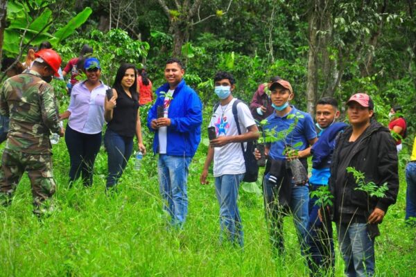 Más de 900 mil árboles se han sembrado en Nicaragua