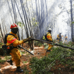 Chile mantiene emergencia por incendios forestales