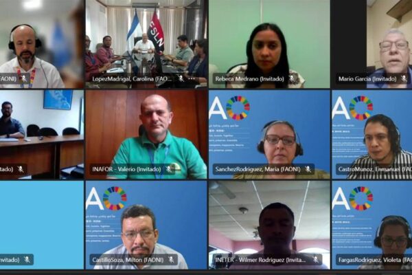 Especializan a nicaragüenses en cambio climático