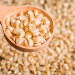 8.4 millones de quintales de maíz se generaron en la producción del 2022