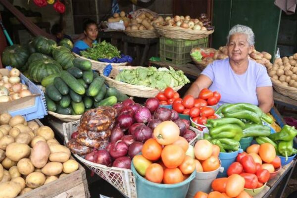 Producción nacional de hortalizas con buenos índices de cosecha