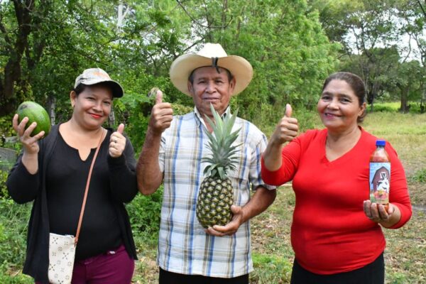 41 mil 576 nicaragüenses protagonizarán Programa de Educación Técnica en el Campo
