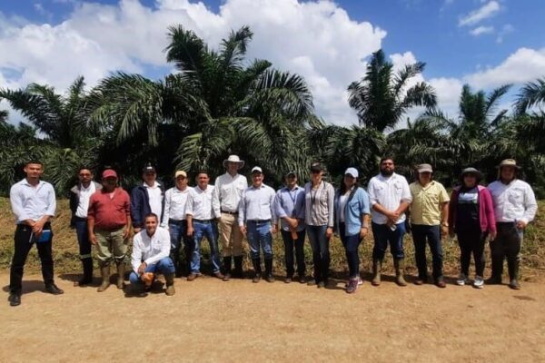 Oleocaribe S.A. y el desarrollo sostenible de la palma de aceite en Nicaragua