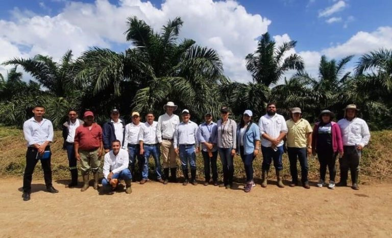 Oleocaribe S.A. y el desarrollo sostenible de la palma de aceite en Nicaragua