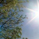 Semana soleada y con altas temperaturas en Nicaragua