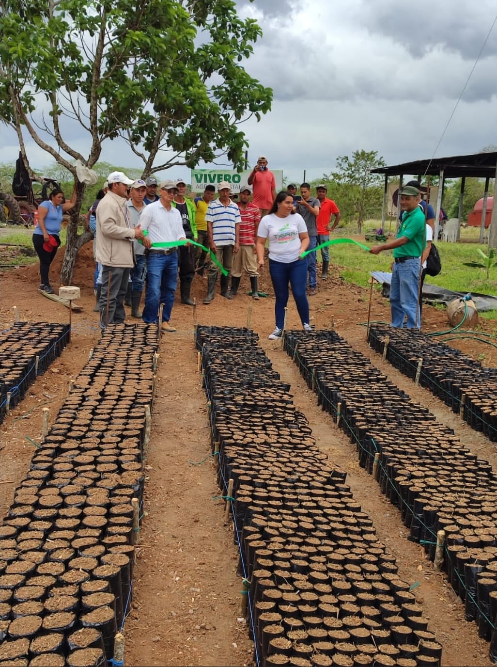 Nuevo vivero en Río San Juan diversifica la siembra en el periodo de invierno