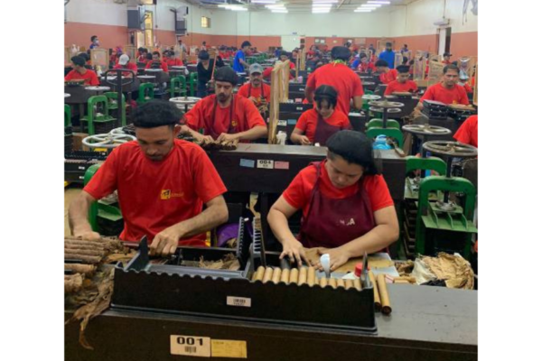 Empresa PENSA genera 800 empleos directos en Estelí