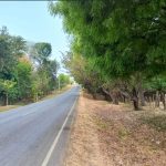 Caminos y carreteras listos para recibir a turistas nacionales y extranjeros