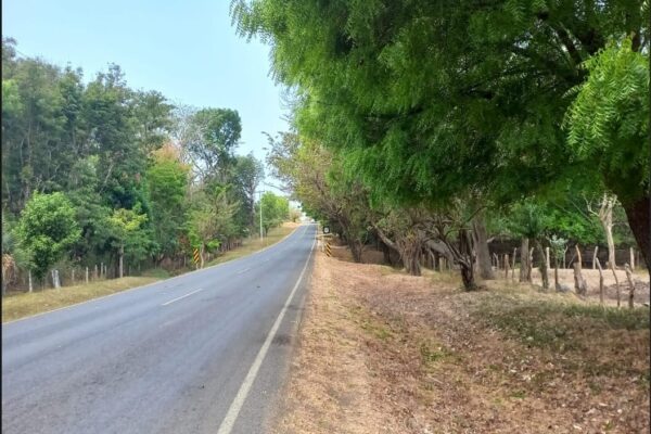 Caminos y carreteras listos para recibir a turistas nacionales y extranjeros