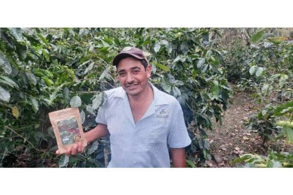 Finca San Gabriel destaca por producción de café orgánico y sostenible en Jinotega