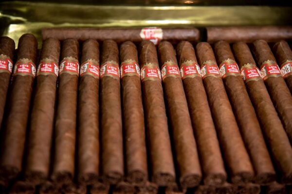 Concluye Festival del Habano en Cuba