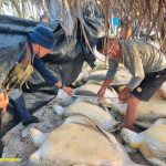 Ejército de Nicaragua inspecciona centros de acopios y embarcaciones en Cayos Perlas