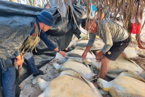Ejército de Nicaragua inspecciona centros de acopios y embarcaciones en Cayos Perlas