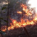 Reportan más de 4 mil hectáreas quemadas por incendio en Cuba