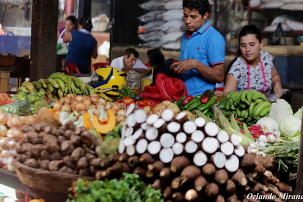 Canasta básica en Nicaragua: Bajas en precios de productos básicos y carnes, estabilidad en otros y algunos aumentos leves