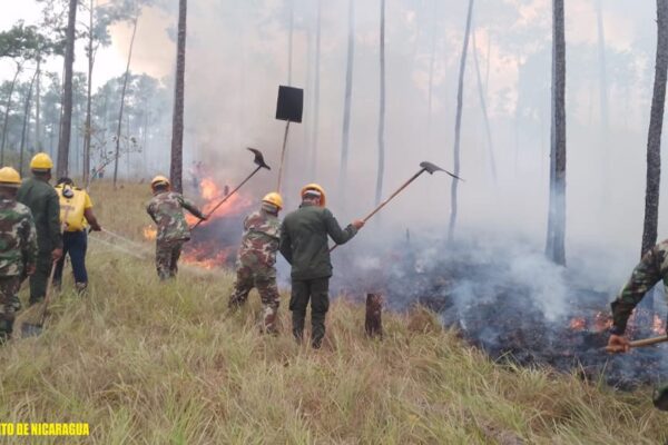 Ejército de Nicaragua participa en sofocación de incendio forestal en el municipio de Waspam