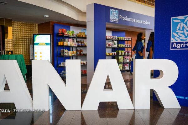 Arroceros nicaragüenses fortalecen conocimientos en tecnologías, semillas y maquinarias