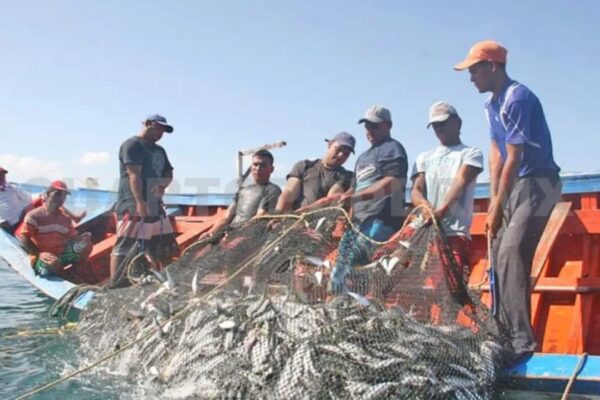 Aumentan divisas en sector pesquero nicaragüense