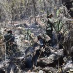 Ejército de Nicaragua participa en sofocación de incendio forestal en Matagalpa