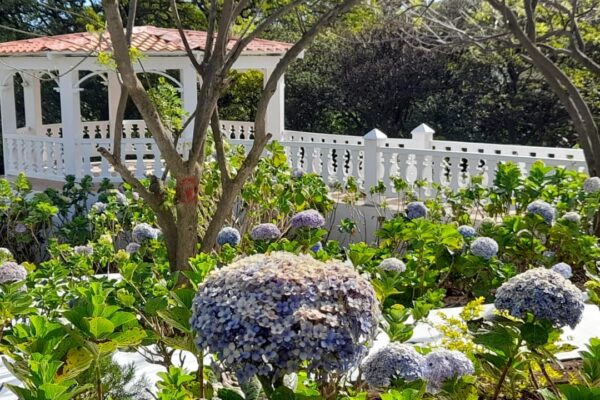 Inauguran Parque Las Mil Flores en El Crucero