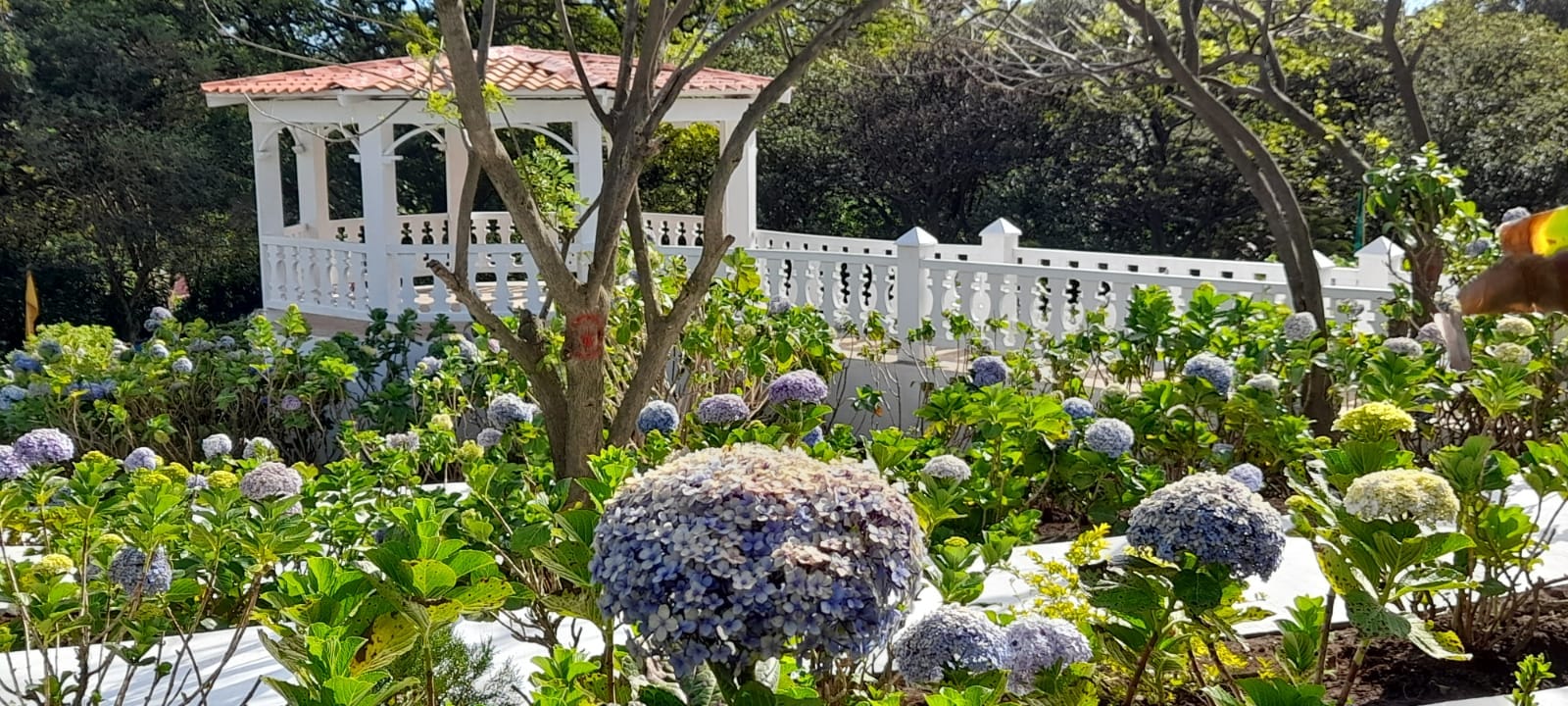 Inauguran Parque Las Mil Flores en El Crucero