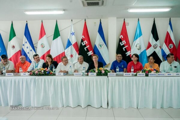 Nicaragua desarrolla simulacro ante posibles ingreso de enfermedad marchitez que afecta producción de plátano y banano