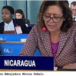 Nicaragua participó en el 172 período de Sesiones del Consejo de la FAO