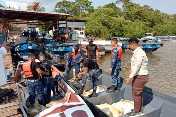 Fuerza Naval nicaragüense decomisa 26 tortugas verdes y 4 sacos que contenían pepino de mar, trasladados de manera ilegal