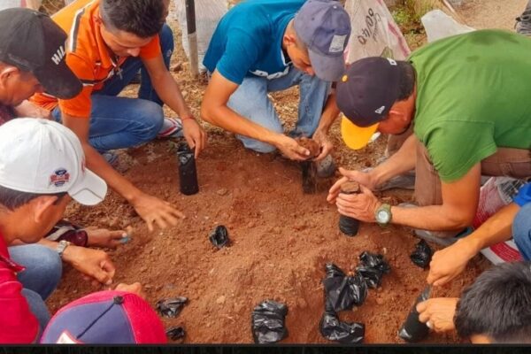 Presentan resultados exitosos de la campaña «Verde que te quiero Verde»