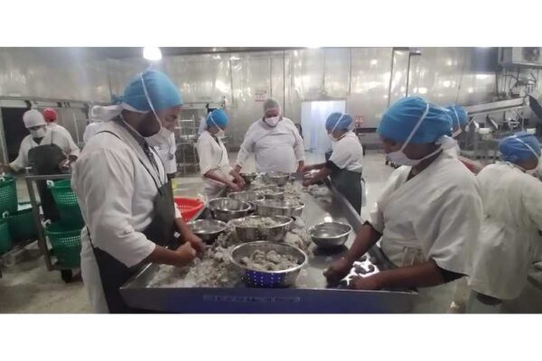 Viceministro del Trabajo visita empresa Langostinos de Centroamérica, en Chinandega